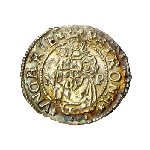 János Zsigmond denár 1556 NP változat